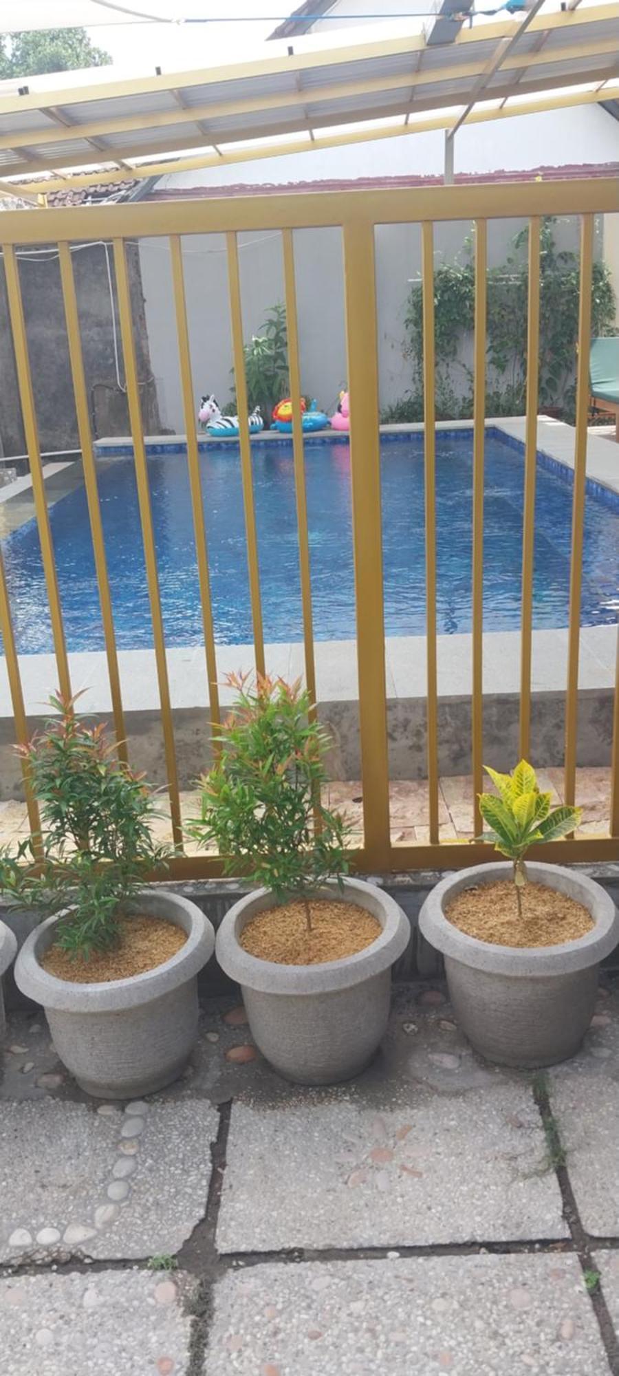 Kj Inn Homestay سينغيغي المظهر الخارجي الصورة